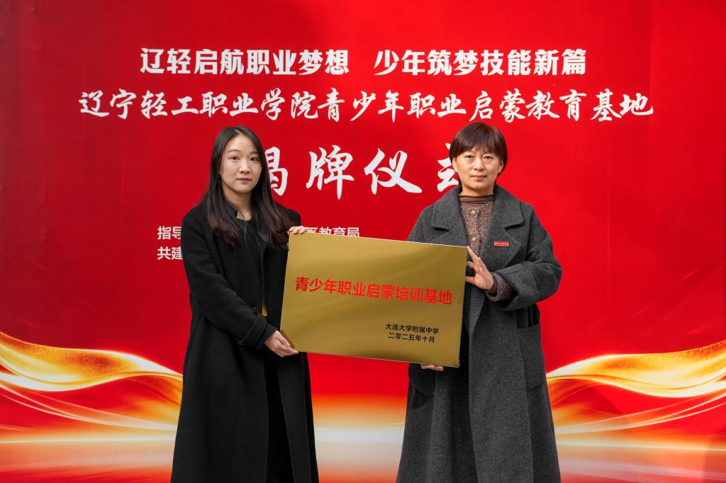 桃子移植汉化组游戏大全操作说明副院长